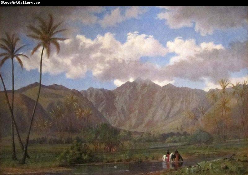 Enoch Wood Perry, Jr. Manoa Valley from Waikiki